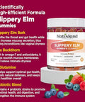 Natisland Slippery Elm For Women Gummies Organic Slippery Elm Bark Extract With Probiotics Sea Buckthorn L-Glutamine For Gut & Digestive Health Throat & Respiratory Support Sugar Free Vegan 60 Gummies