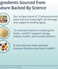 Metagenics PhytoMulti Multivitamin 20+ Essential Vitamins and Minerals with Phytonutrients Supports Healthy Aging Cellular Health Energy and Immune Function NonGMO and GlutenFree 60 Capsules
