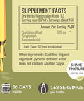 Herbamama Liquid Drops Kit - Bundle Of Cryptolepis Root And Black Elderberry Tincture 4 Fl Oz - Vegan Non-Gmo Sugar & Alcohol- - 2 Pack