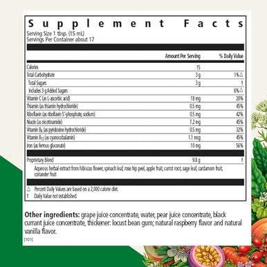 Floradix Iron Kids - Liquid Iron & Vitamin Formula - Children'S Supplement With C & B Vitamins - Vegan - Raspberry-Vanilla Flavor 8.5 Fl Oz