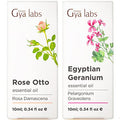 Gya Labs Frankincense Oil For For Body Comfort & Bergamot Essential Oil For Diffuser Set - Aromatherapy Grade Essential Oils Set - 2X0.34 Fl Oz - Gya Labs