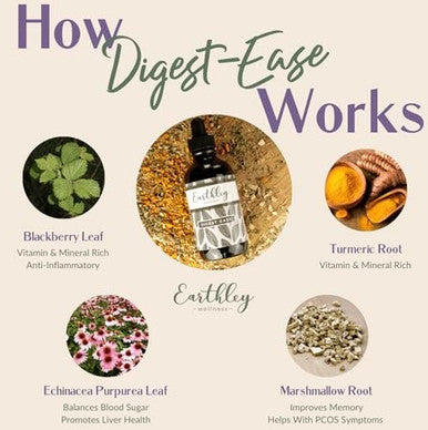 Earthley Wellness Digest Ease, Herbal Digestive Support Tincture For Gut Health, Stomach Relief, And Digestive Wellness Organic Herbs Like Ecea Leaf, Turmeric Root, Marshmallow Root, (2Oz)