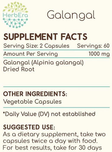 HerbEra Galangal 120 Capsules, 500 mg, Galangal (Alpinia Galangal) Dried Root (120 Capsules)