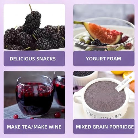 Food to Live Dried Black Mulberry, 5.3oz (150g) - Vegan | Juicy Sweet-Tart Superfruit for Snacks, Smoothies & Baking | Raw, No Sugar Added, Resealable Bulk Bag