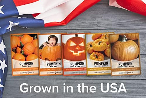 Gardeners Basics, Pumpkin Seeds to Plant - 5 Variety Baby Boo, Giant Big Max, Jack Be Little, Jack O Lantern, Sugar Pie, Great for Pumpkin Seed for Summer, Fall, Pumpkin Seeds for Planting