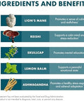 Host Defense Mycobotanicals Stress Decompress Capsules Mushroom Supplement With Lemon Balm & Ashwagandha Root With Reishi Lion'S Man & Skullcap 60 Capsules (30 Servings)