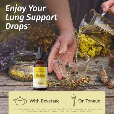 Herbamama Herbal Liquid Drops Kit - Bundle Of Black Elderberry Extract And Mullein Leaf Tincture 2 Fl Oz - Vegan Non-Gmo Sugar & Alcohol- - 2 Pack