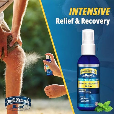Amish Origins Deep Penetrating Pain Relief Liquid Spray Fastacting Natural Relief For Muscle Aches Joint Pain And Stiffness 3.5 Oz Spray Bottle