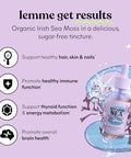 Lemme Irish Sea Moss Organic Liquid Drops With Vitamin D3 And Biotin For Trace Mineral Support Immunity Hair Skin & Nails Brain Health - Gluten & Sugar Free Non Gmo 1 Oz 30 Servings