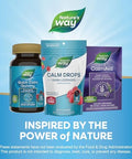 NatureS Way Calm Drops Works Quickly To Help Ease Stress (1) FastActing Gaba Individually Wrapped Lozenges Raspberry Flavored 30 Lozenges