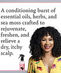 Camille Rose Mint Condition Braid And Scalp SprayWith Aloe Vera And Sea Moss To HydrateReduce BreakageAnd Nourish The Scalp8 Fl Oz