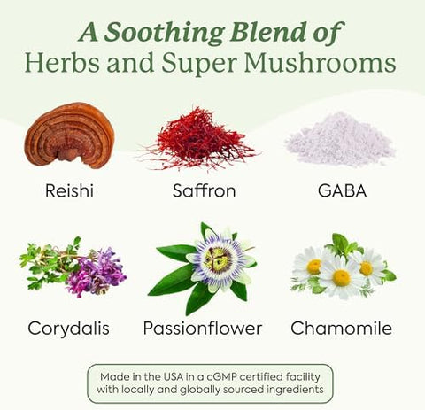 Plant People Wondersleep Mushroom Gummies Supplement Mini With Reishi Super Mushrooms Saffron Wild Elderberry Flavor No Sugar Vegan-Friendly & Gluten- Trial Size