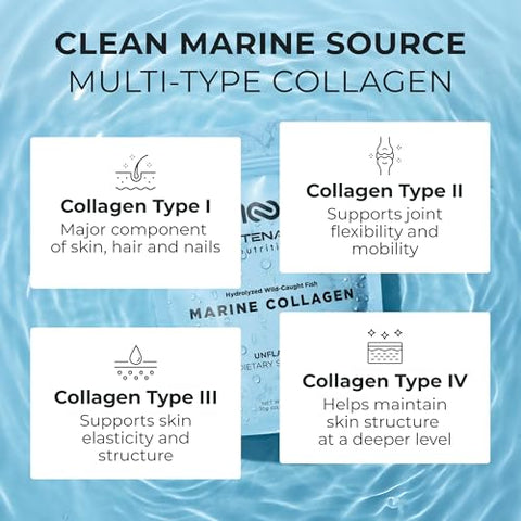 Centenarius Nutrition Marine Collagen Peptides Powder Unflavored 300G Types I iv Hydrolyzed Collagen From Wild-Caught Fish For Healthy Skin Hair Nails Joints & Bones Anti-Aging Non-Gmo Centenarius Nutrition