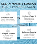 Centenarius Nutrition Marine Collagen Peptides Powder Unflavored 300G Types I iv Hydrolyzed Collagen From Wild-Caught Fish For Healthy Skin Hair Nails Joints & Bones Anti-Aging Non-Gmo Centenarius Nutrition