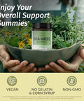 HERBAMAMA Irish Sea Moss Gummies 1600mg True Sea Moss Supplement with Bladderwrack and Burdock Root Vegan NonGMO Skin Glow Energy and Immune Support 90 PectinBased MangoFlavored Chews