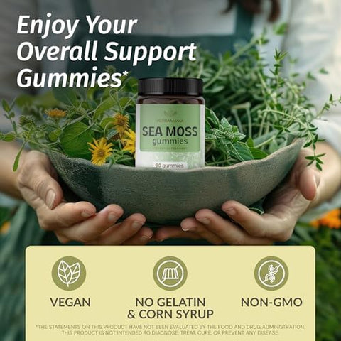 HERBAMAMA Irish Sea Moss Gummies 1600mg True Sea Moss Supplement with Bladderwrack and Burdock Root Vegan NonGMO Skin Glow Energy and Immune Support 90 PectinBased MangoFlavored Chews