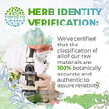 HerbEra Quassia 120 Capsules, 500 mg, Wildcrafted Quassia (Quassia Amara) Dried Bark (120 Capsules)