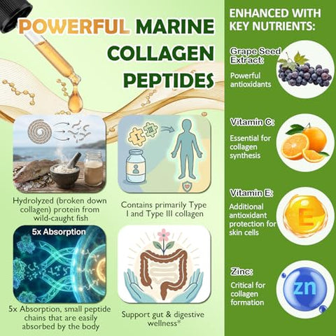 Vita Plynxera Marine Collagen Peptides Liquid Drops Hydrolyzed Multi Type I & Iii Collagen W. Vitamin C E Grape Seed Extract For Joint Skin Hair & Nail Liquid Collagen High Absorption For Women Men Wild-Caught