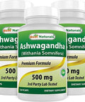 Best Naturals 3 Pack Ashwagandha Capsules For Relaxing Stress And Mood 500 Mg 120 Count (Total 360 Capsules)