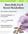 Lemme Burn & Debloat Capsule Bundle - Metabolism & Fat Burning Debloat Capsules For Bloating & Gas Relief Probiotics & Prebiotics - Gluten Free Non-Gmo - 60 Ct. Each