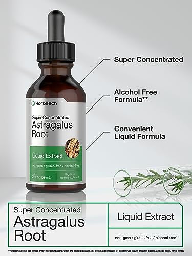 Horbaach Astragalus Root Extract Liquid 2 Fl Oz
