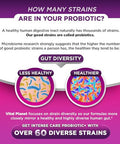 Vital Planet - Intense Care Vaginal Ph & Urinary Probiotics For Women Plus Organic Prebiotics Postbiotics And Parabiotics 65 Billion Cfu And 64 Strains Immune And Digestive Health 30 Ct