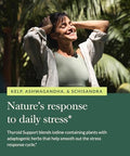 Gaia Herbs Thyroid Support Made With Ashwagandha Kelp Brown Seaweed And Schisandra To Support Healthy Metabolic Balance And Overall Wellbeing 120 Vegan Liquid Phytocapsules (40Day Supply)