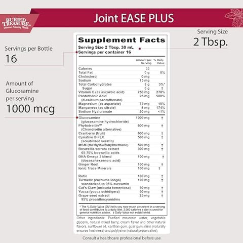 Buried Treasure Joint Ease Plus 16 Fl Oz Glucosamine Chondroitin With Msm And Turmeric Joint Support Supplement