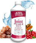 Buried Treasure Joint Ease Plus 16 Fl Oz Glucosamine Chondroitin With Msm And Turmeric Joint Support Supplement