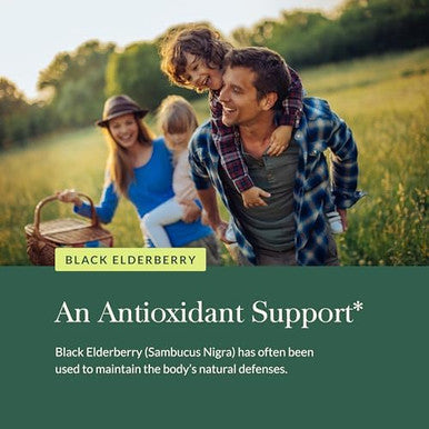 Gaia Herbs Black Elderberry (Sambucus Nigra) Extra Strength Gummies Delicious Immune Support Supplement Made With Organic Black Elderberries For Immune System Support 40 Gummies