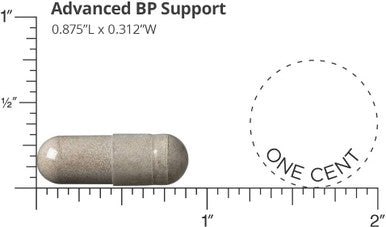 Dr. Sinatras Advanced Bp Support Supplement For Healthy Blood Pressure 120 Capsules 30Day Supply