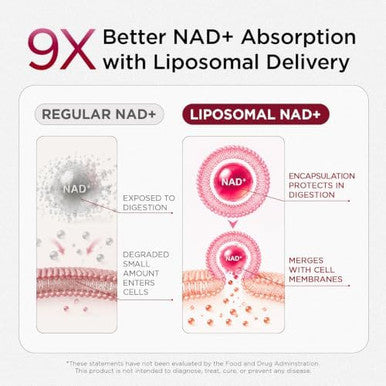 NAD+ Supplement for Women - NMN Alternative with -NAD+ Trans-Resveratrol CoQ10 D-Ribose - Promotes Cellular Renewal Energy and Radiant Skin Health - 60 Capsules Advanced