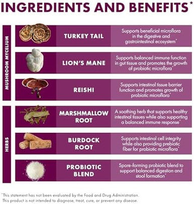 Host Defense Mycobotanicals Microbiome Powder Digestive & Immune Health Support Supplement Gut Health Supplement With Turkey Tail Lion'S Mane & Reishi 3.5 Oz (33 Servings)