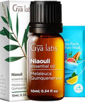 Gya Labs Ravensara Essential Oil Diffuser & Niaouli Essential Oil Diffuser Set - Aromatherapy Grade Essential Oils Set - 2X0.34 Fl Oz - Gya Labs
