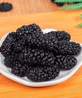 Dried Black Mulberries 8.81oz Natural Wild Black Mulberry Tea Sweet Delicious Dried Fruit Snacks, Vegan Ã©â€¡Å½Ã§â€Å¸Ã©Â»â€˜Ã¦Â¡â€˜Ã¨â€˜Å¡ Ã¦Â¡â€˜Ã¨â€˜Å¡Ã¥Â¹Â² Ã¦â€” Ã¦Â·Â»Ã¥Å