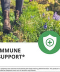 Nutramedix Inflammatory Response Set 3Piece Kit Includes Burburpinella Liquid Detox Drops Noni Fruit Extract & Avea Turmeric Root Extract Daily Plantbased Tinctures & Wholeherb Concentrates