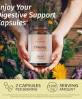 Herbamama Chicory And Milk Thistle Kit - Bundle Of 1200 Mg Chicory Root Capsules & Milk Thistle Tincture 2 Fl Oz - Vegan Non-Gmo Sugar & Alcohol- - 2 Pack
