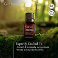 Gya Labs Frosty Forest Essential Oil Blend - Revitalizing & Invigorating (0.34 Fl Oz)