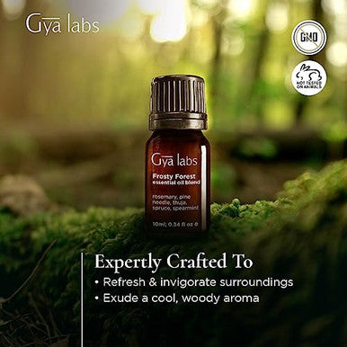 Gya Labs Frosty Forest Essential Oil Blend - Revitalizing & Invigorating (0.34 Fl Oz)