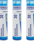 Boiron Ambrosia Artemisiaefolia 30C Homeopathic Medicine For Ragweed Allergy Relief Pack Of 3 (240 Pellets)
