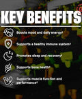 BARE PERFORMANCE NUTRITION Endurance Essentials Endurance Athlete Daily Multivitamin NSF Certified for Sport Supports Energy Muscle Function Immune and Bone Health 30 Capsules