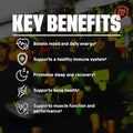BARE PERFORMANCE NUTRITION Endurance Essentials Endurance Athlete Daily Multivitamin NSF Certified for Sport Supports Energy Muscle Function Immune and Bone Health 30 Capsules