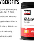 Force Factor Bcaa Amino Acids Supplement 2:1:1 Delicious And Refreshing Bcaa Powder To Support Muscle Recovery And Performance No Artificial Colors Or Flavors Cherry Limeade 30 Servings