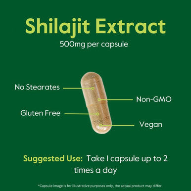 Bestvite Pure Shilajit Extract 500mg (120 Vegetarian Capsules) - No Stearates - Vegan - Non GMO - Gluten - Standardized to 20% Fulvic Acid