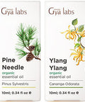 Gya Labs Spearmint Essential Oil For Diffuser & Lemon Essential Oil For Skin Set - Essential Oils Set - 2X10Ml - Gya Labs