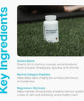 Revive Md Super Greens Collagen Powder & Magnesium Glycinate