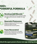 Windboss.Nad Supplement, Liposomal Nad Nicotinamide Riboside Resveratrol 900Mg Resveratrol, Quercetin, Nad Resveratrol Supplement For Anti-Aging, Energy, Focus - 100 Capsules