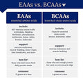 True Athlete Bcaa 4:1:1-4Gm L-Leucine 1Gm L-Isoleucine & 1Gm L-Valine Per Serving (6.35 Ounces Powder)
