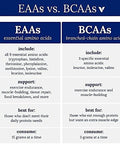 Bodytech Bcaa Powder Optimal 2:1:1 Ratio Supports Muscle Recovery Strength & Endurance Fruit Punch (11.5 Oz)