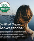 Futurebiotics Organic Ashwagandha Stress Mood & Energy Support Adaptogenic Herb Nongmo 100 Organic Tablets